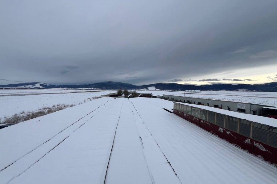 Das Tierheim in Rumänien im Schnee