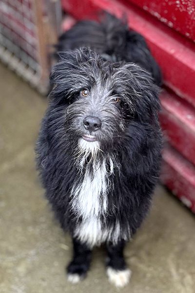 Poseidon schaut in die Kamera