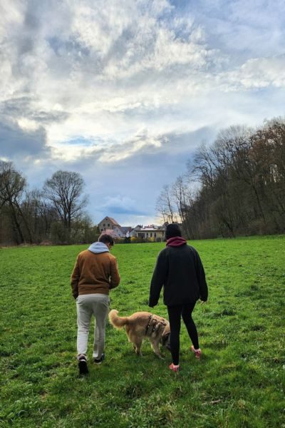 tierschutz-hund-zuhausegefunden-gizmo-hunderettung-europa