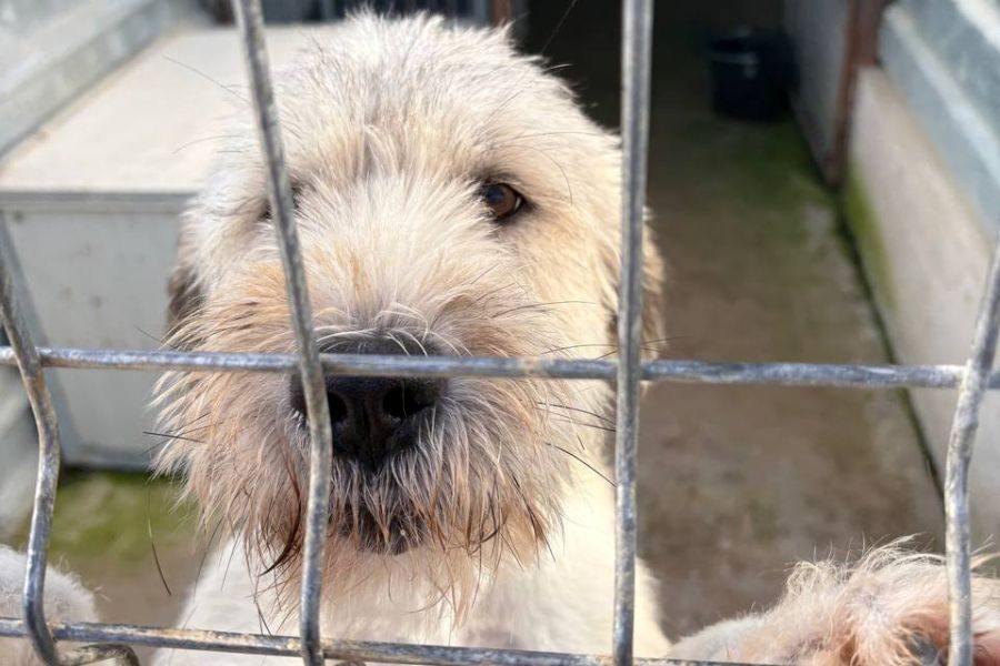 Ranja schaut in die Kamera.