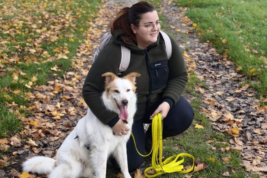 Ein Hund und eine Frau sitzen auf einer Wiese.