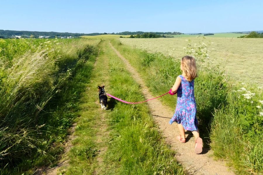 Ein Hund und ein Mädchen laufen auf einer großen grünen Wiese.