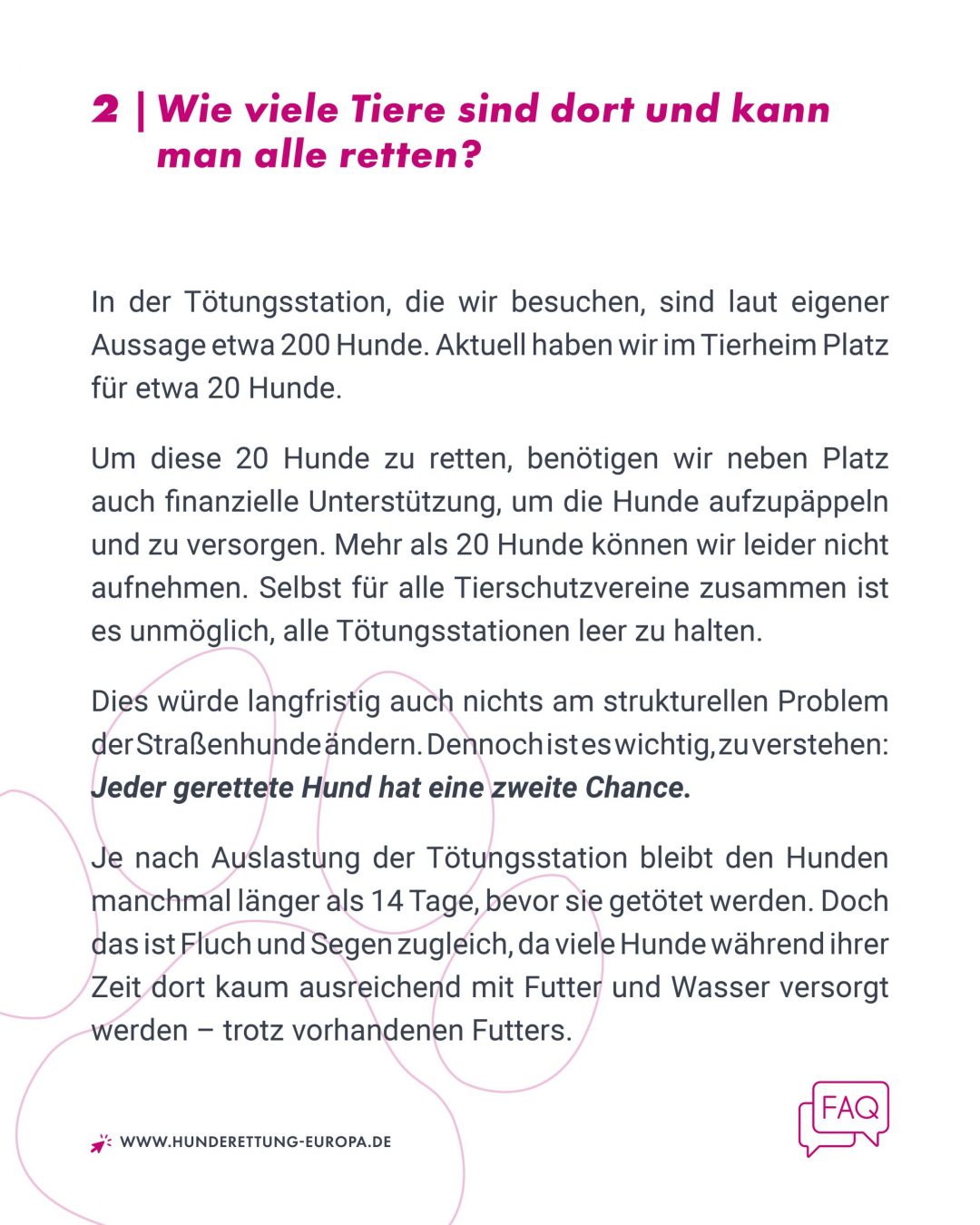 tötungsstation-rumänien-hunde-ausland-faq-hunderettung-europa3