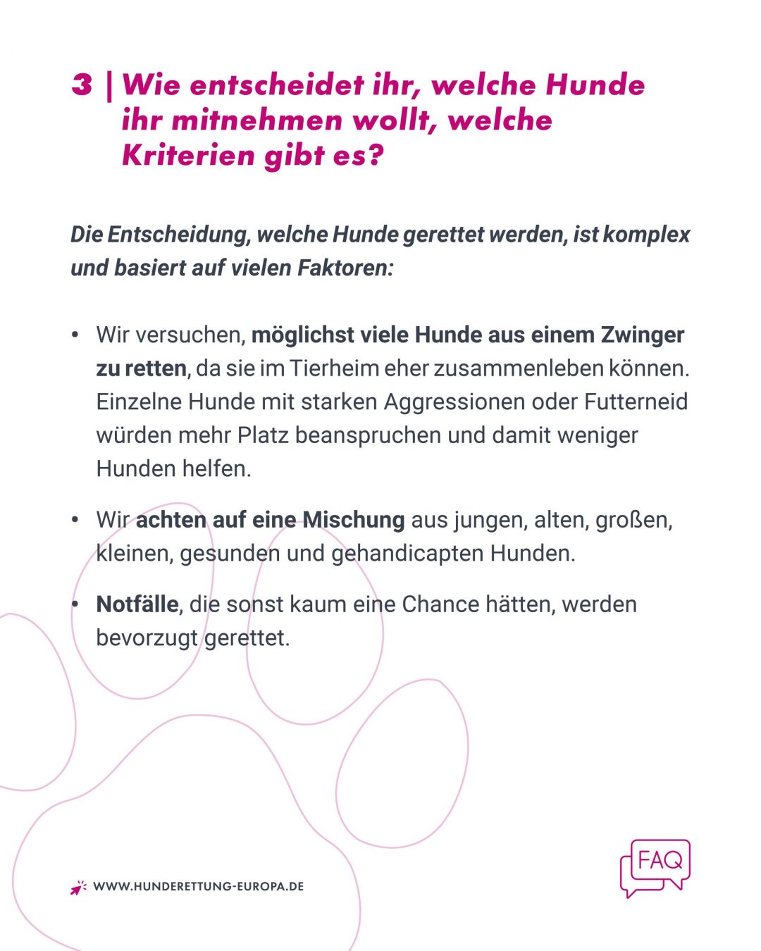 tötungsstation-rumänien-hunde-ausland-faq-hunderettung-europa4